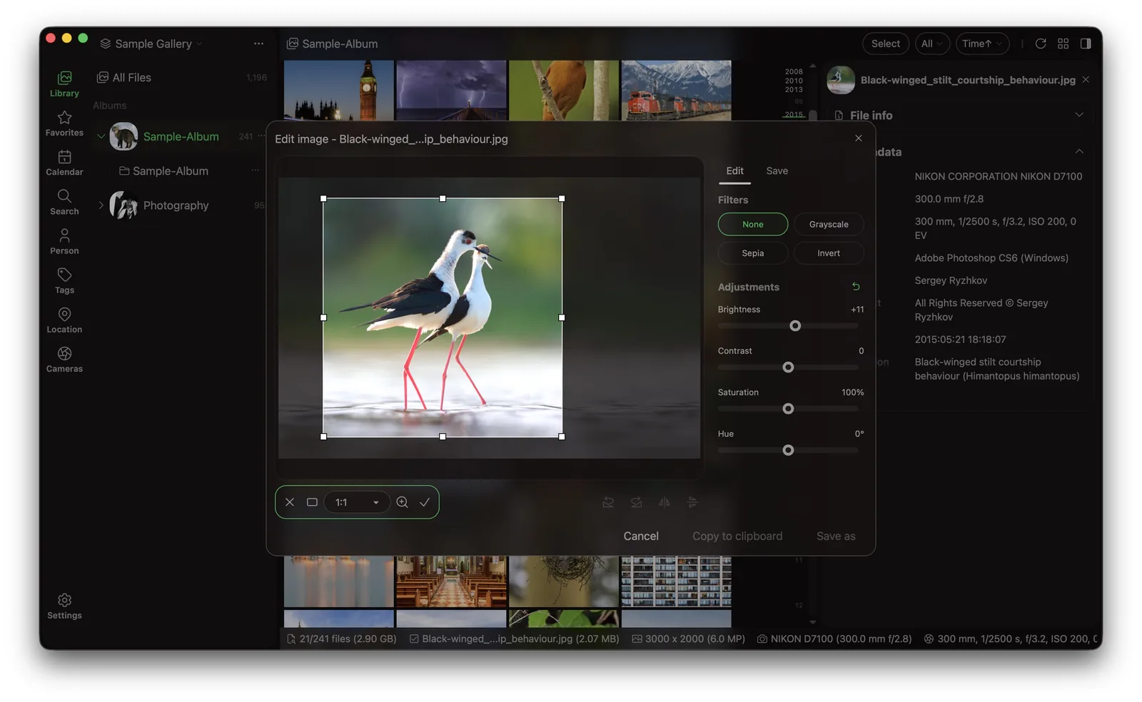 Lap duplicate photo finder and cleanup tools